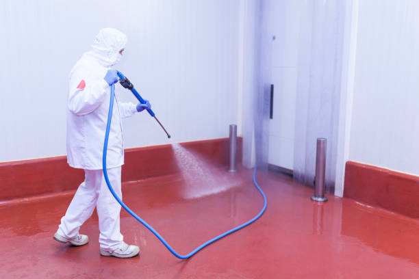 Best Graffiti Removal  in Emerson, NJ